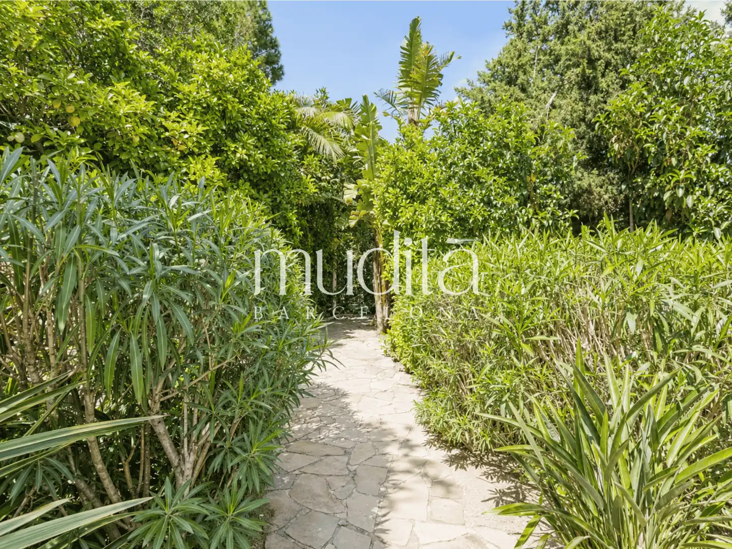 Jardín de Casa o chalet en venta en Roda de Berà con Calefacción, Jardín privado y Terraza