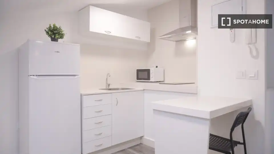Cocina de Piso de alquiler en Madrid con Aire acondicionado, Calefacción y Amueblado