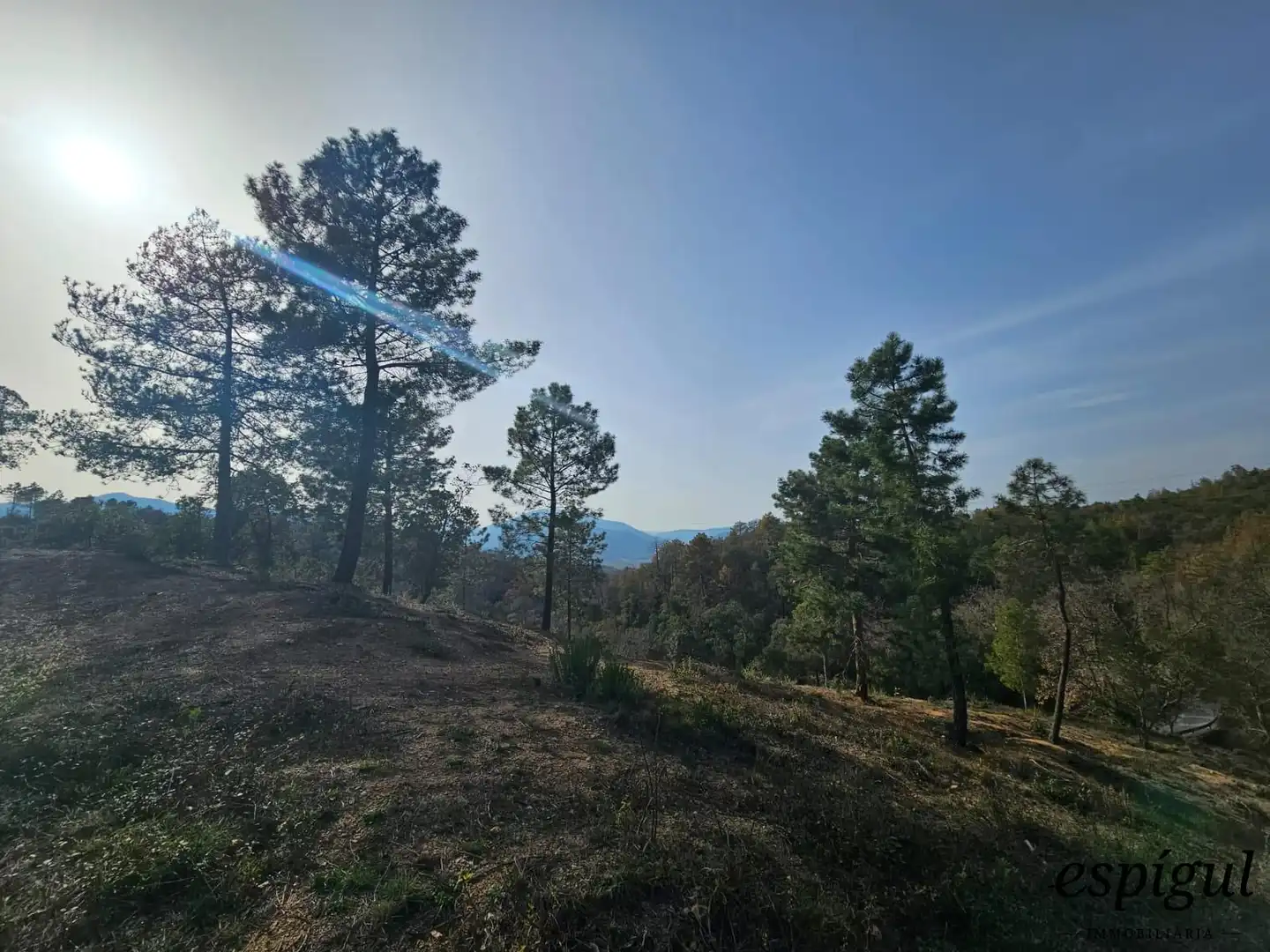 Rustikales Grundstück zum Verkauf in Garrigues 18, imagen 6