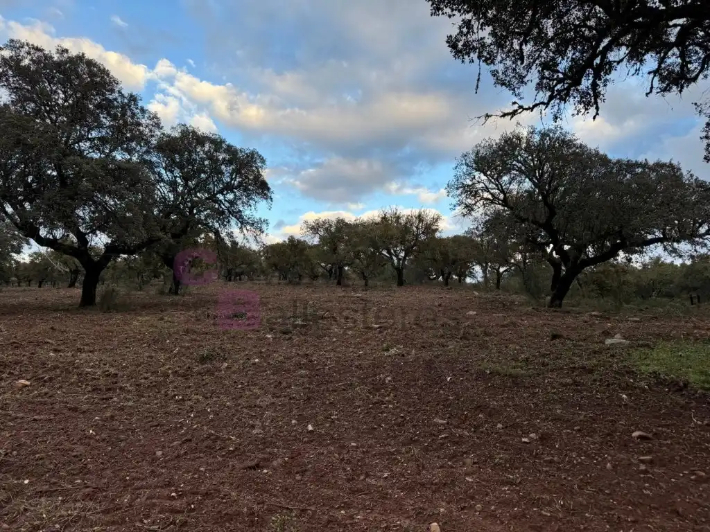 Casa o xalet en venda a Calle Cuesta de Artesanos, Valdesalor - Rincón de Ballesteros