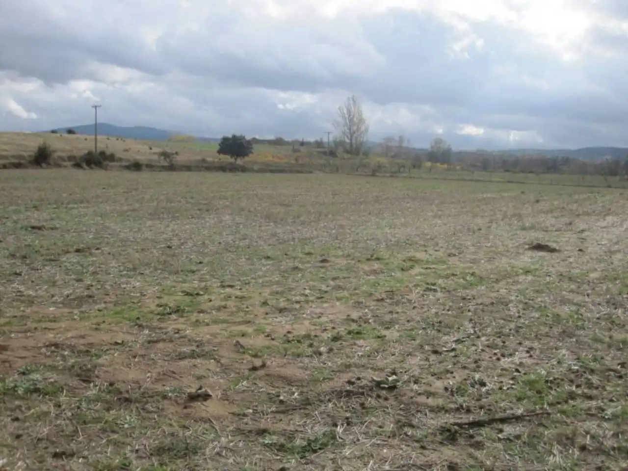 Terreno residencial en venta en Carretera LA ATALAYA, imagen 4