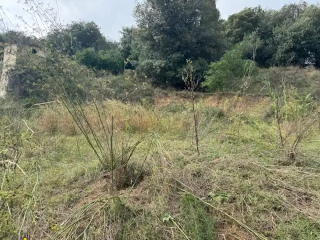 Wohnbaugrundstück zum Verkauf in Carrer Joan Portabella 1c, imagen 9