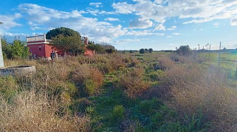 Foto 5 de Finca rústica en venda a Calle las Veguetas, Carretera de Sanlúcar - Sudamérica, El Puerto de Santa María