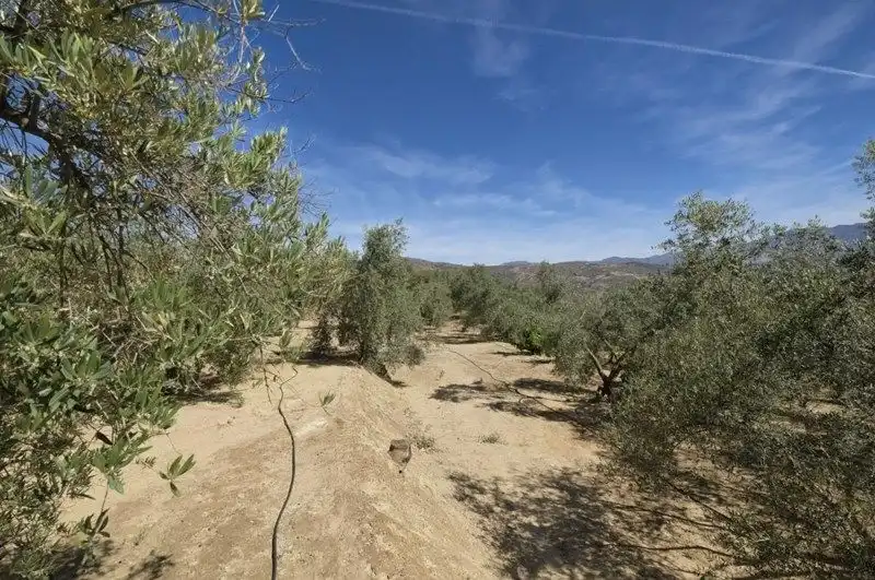 Terreno rustico in vendita a El Valle, imagen 13