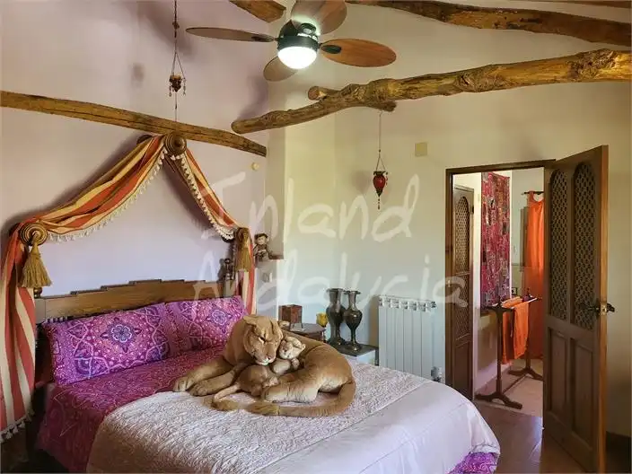 Casa rústica con piscina en venta en Algarinejo, imagen 12