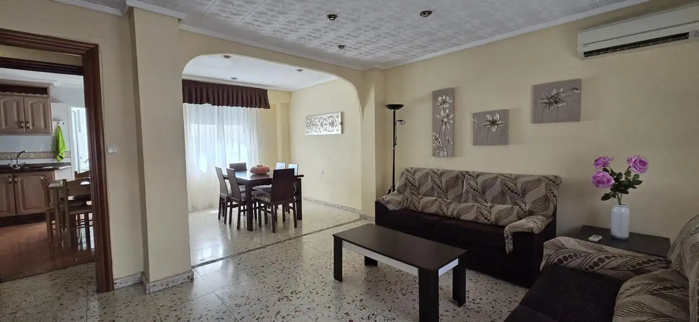 Living room of Flat for rent in Elche / Elx  with Air Conditioner, Furnished and Balcony