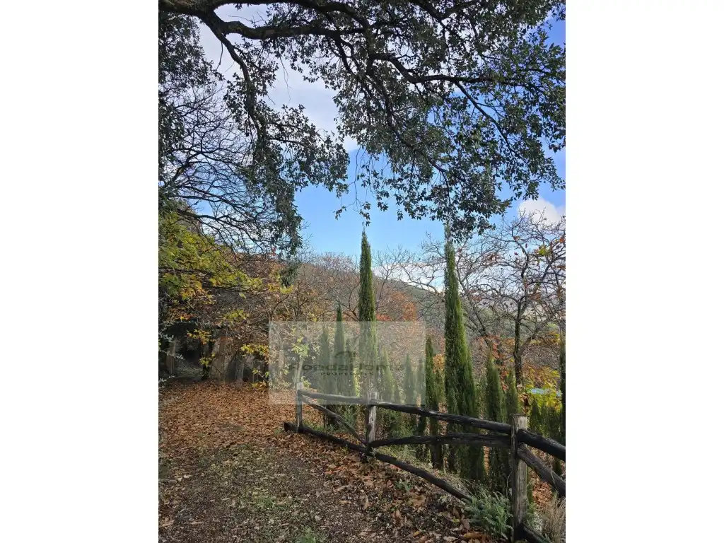 Finca rústica en venda a Poligono 2 Paraje 85 La Porrona, Jubrique