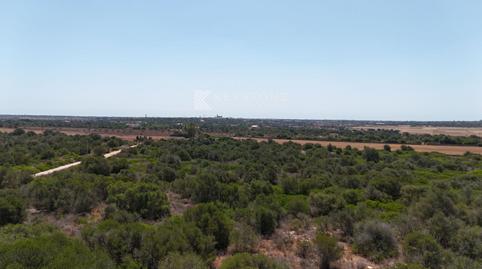 Photo 3 of Land for sale in Santanyi, 1, Santanyí Poble, Illes Balears