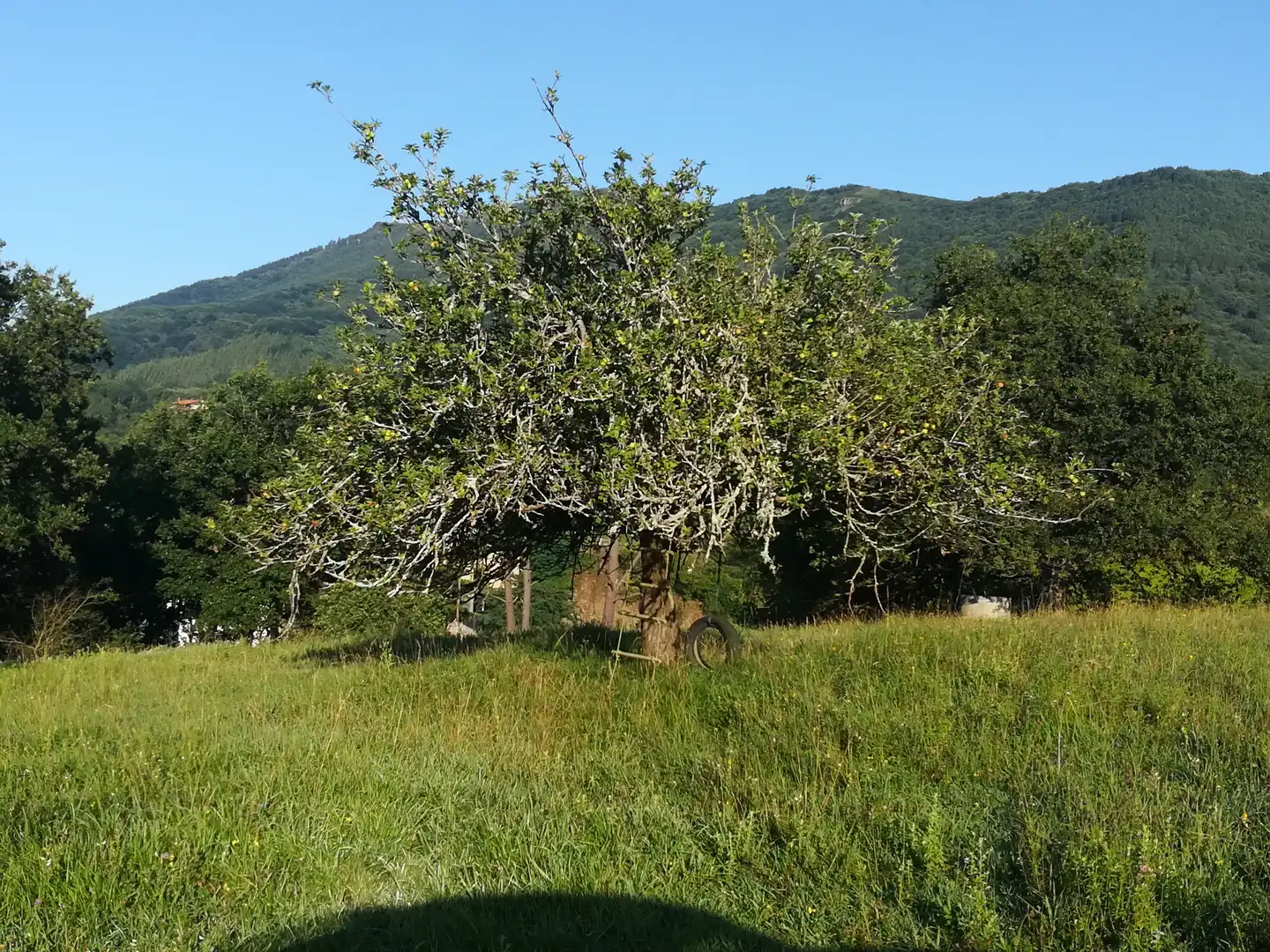 Terreno en venta en Jaitzubia Auzoa, 69, Hondarribia