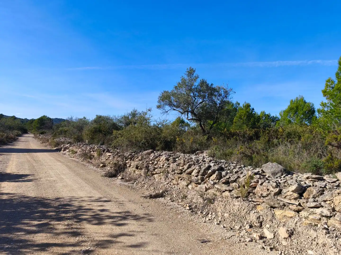 Rural land for sale in Carrer Fray Salvador 50, imagen 9