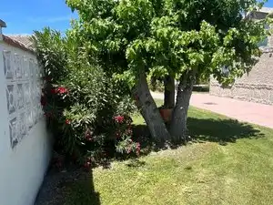 Chalet con jardín en venta en Plaza Descubrimiento, imagen 21