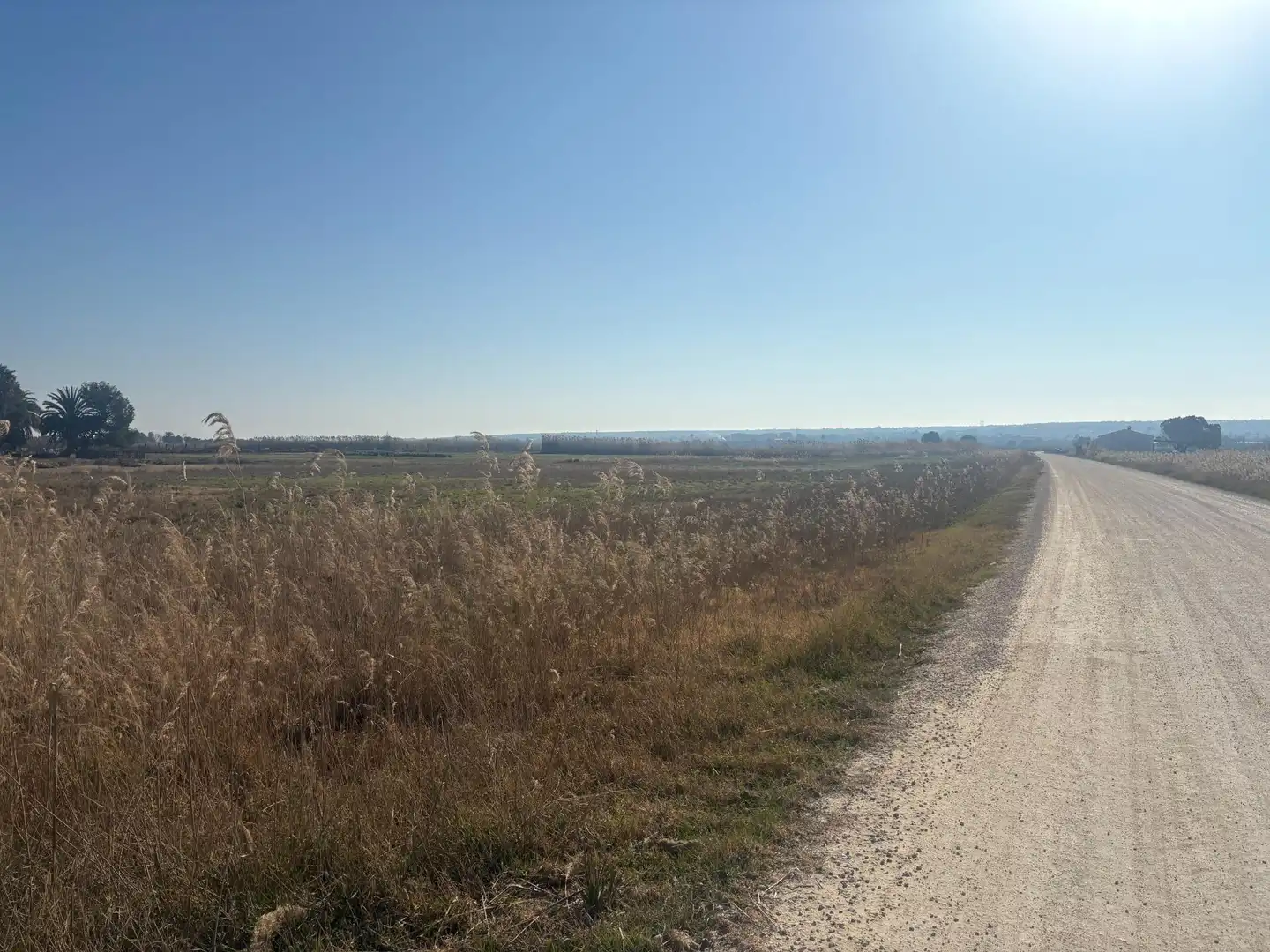 Terrain rustique à vendre à La Foia - Daimés - Asprella, imagen 8