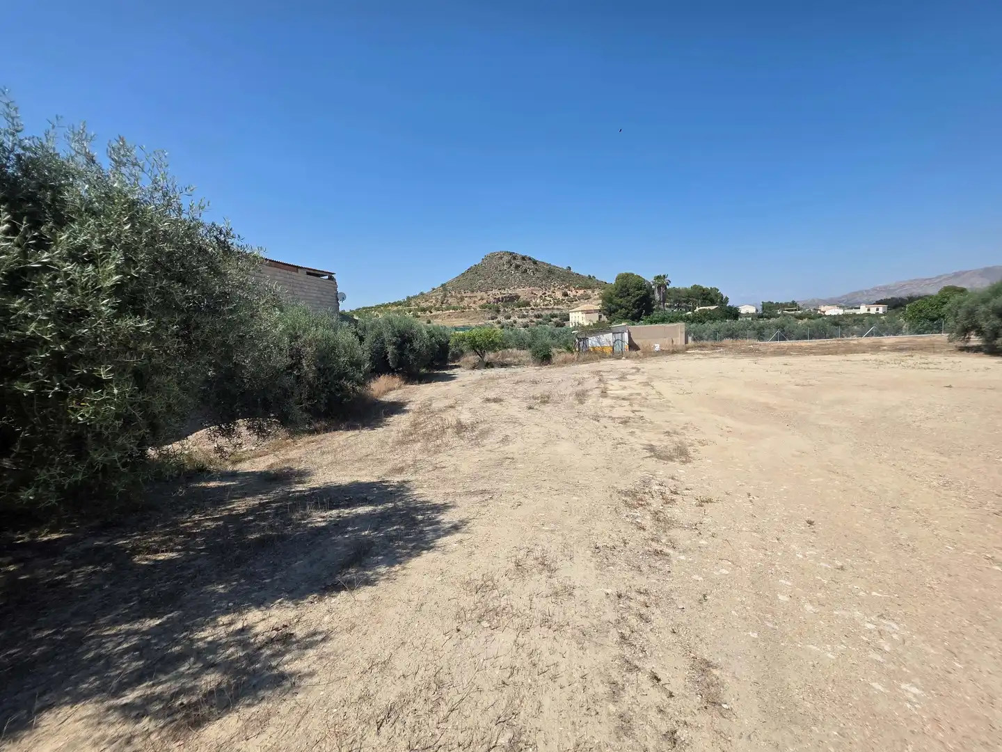Terrenos y solares en venta en Cehegín, imagen 6