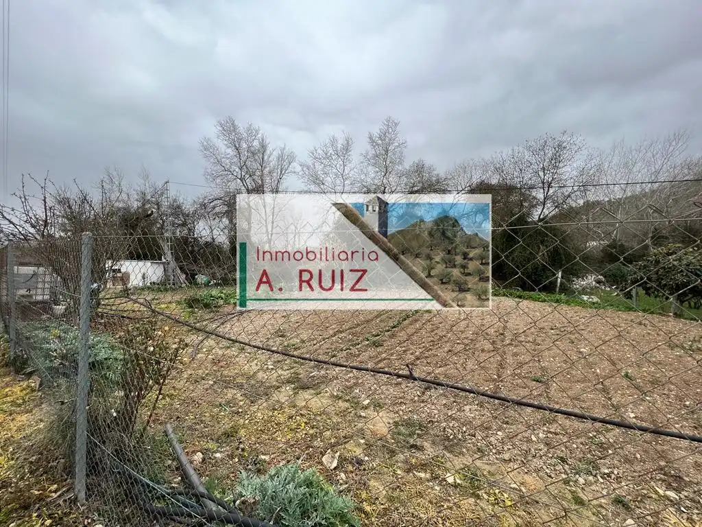 Terreny rústic en venda a Priego de Córdoba, imagen 8
