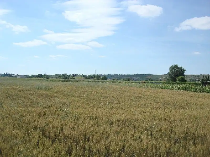 Terreny rústic en venda a Villamediana de Iregua