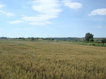 Terreno rustico in vendita a Villamediana de Iregua