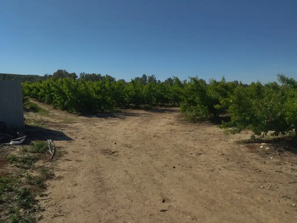 Terreno en venta en Campo Lugar
