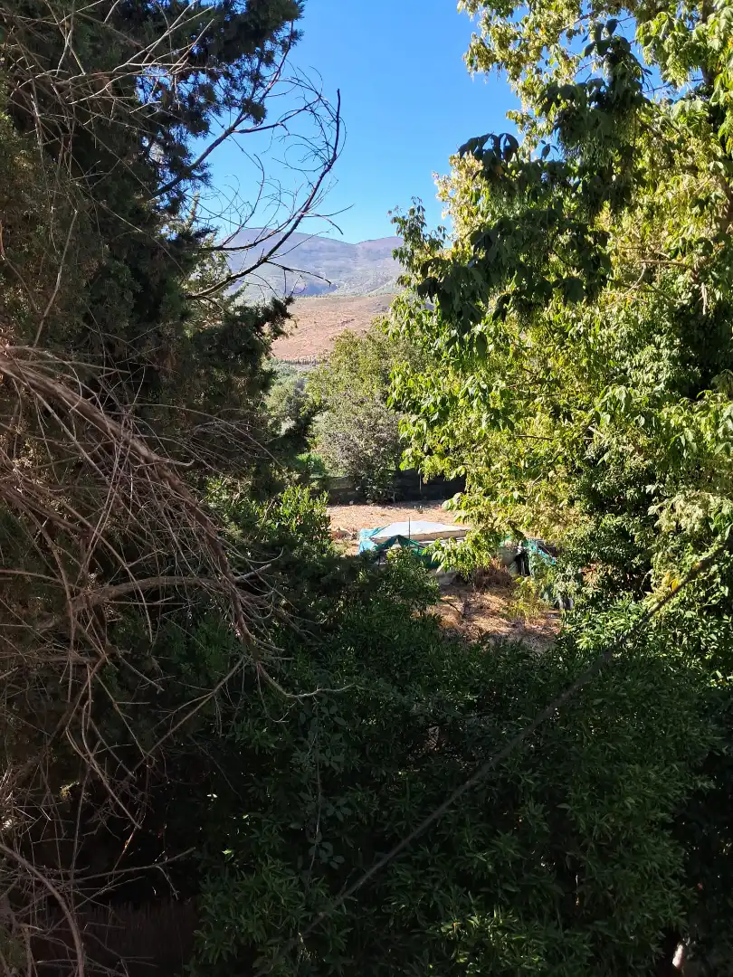 Semi-detached house with garden for sale in Laujar de Andarax, imagen 12