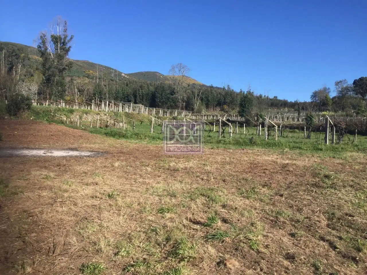 Terreno residenziale in vendita a As Neves, imagen 3