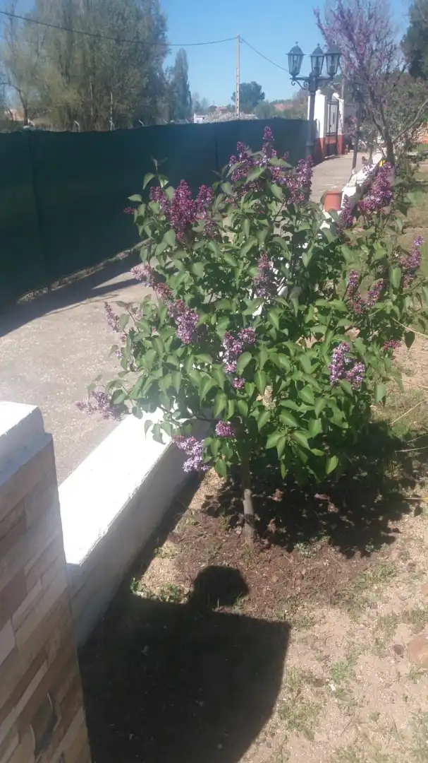 Terreni e lotti in vendita a La Hiniesta, imagen 7