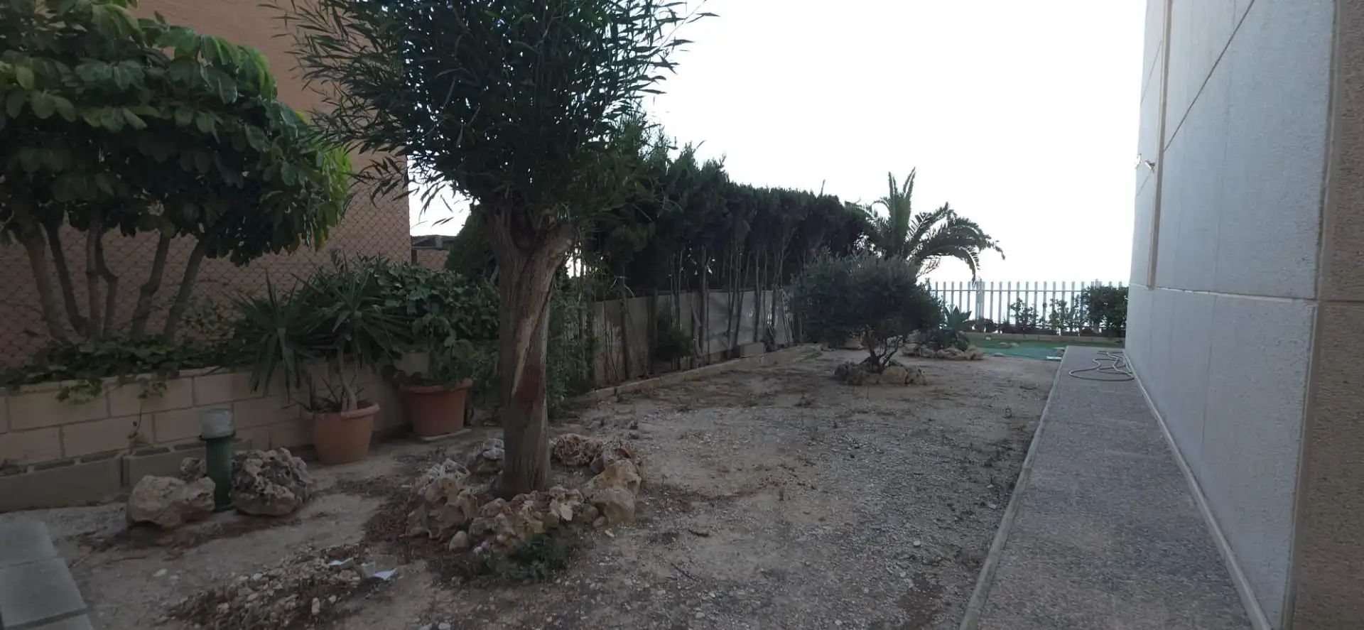 Bajo con piscina en venta en Playa Muchavista, imagen 13