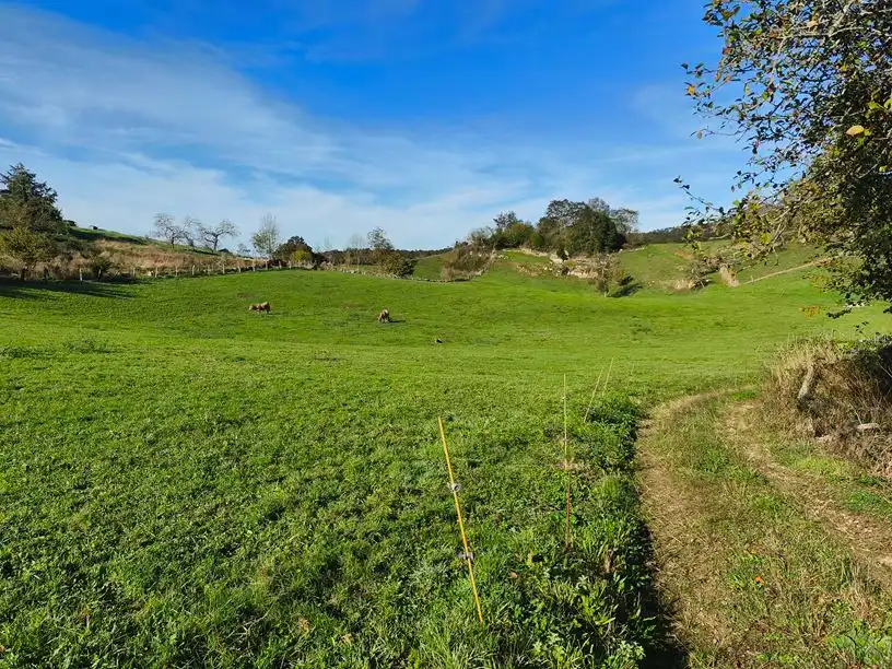 Grundstücke und Bauplätze zum Verkauf in Lugar la Villa Riba 12, imagen 4