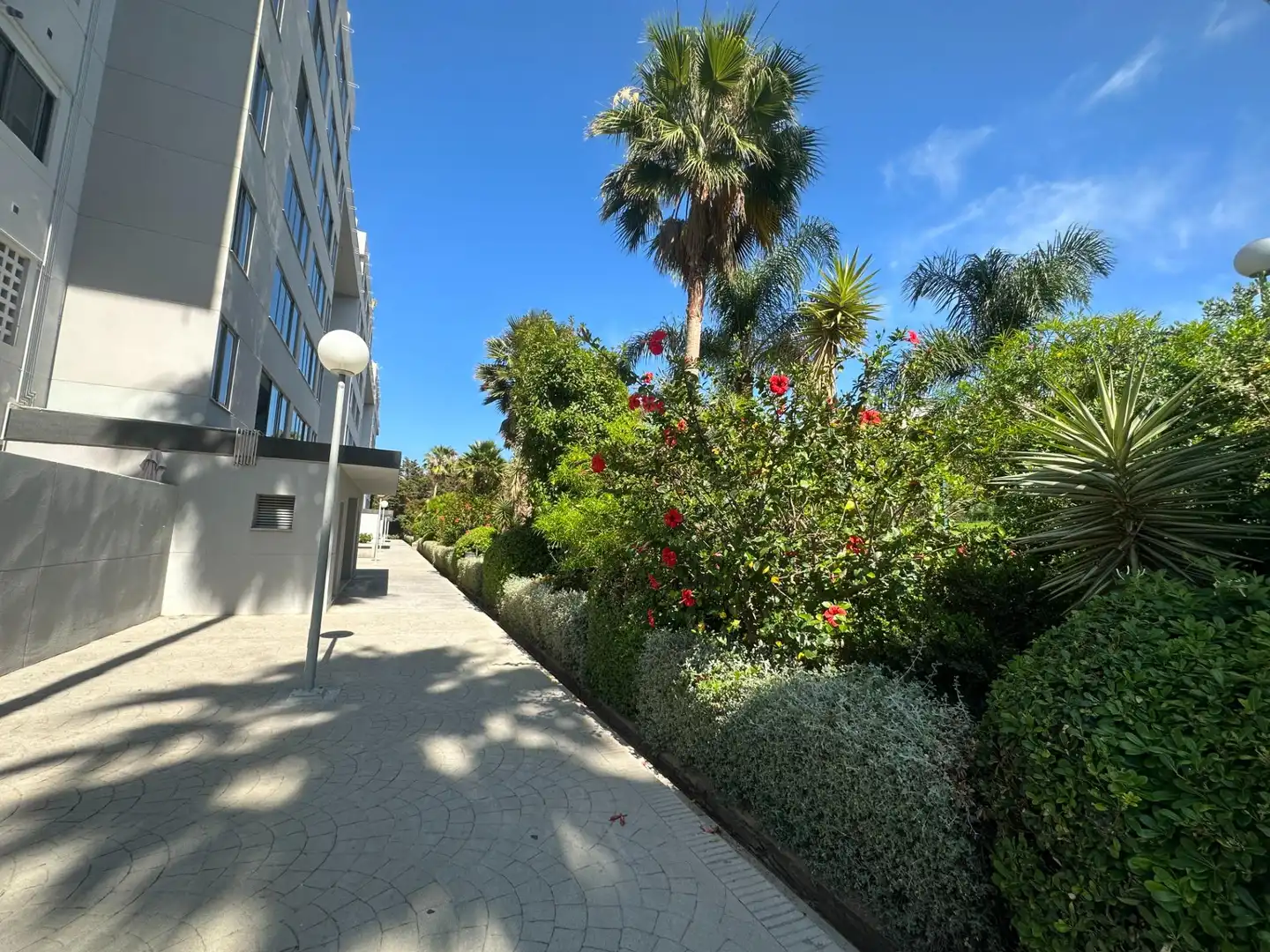 Appartement compact avec piscine à vendre à Castillo Sohail - Myramar, imagen 34