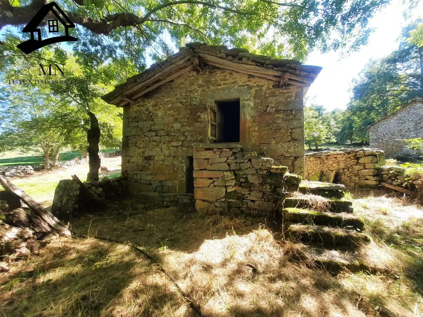 Vista exterior de Finca rústica en venda en Espinosa de los Monteros