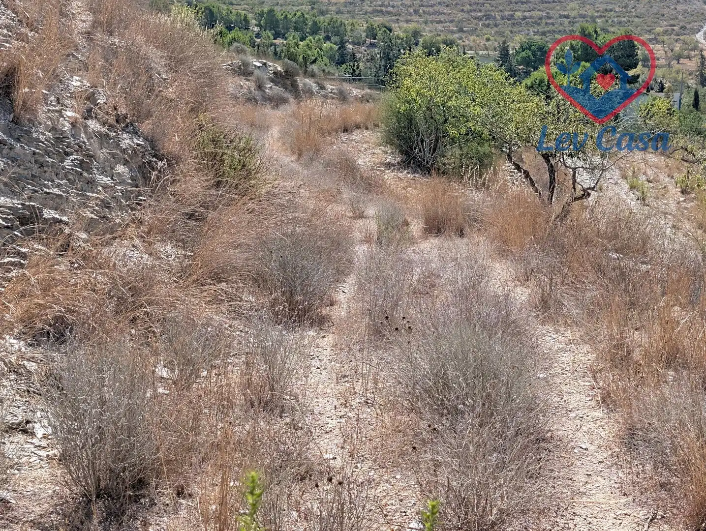 Terreno rustico in vendita a Playa del Galán, imagen 39