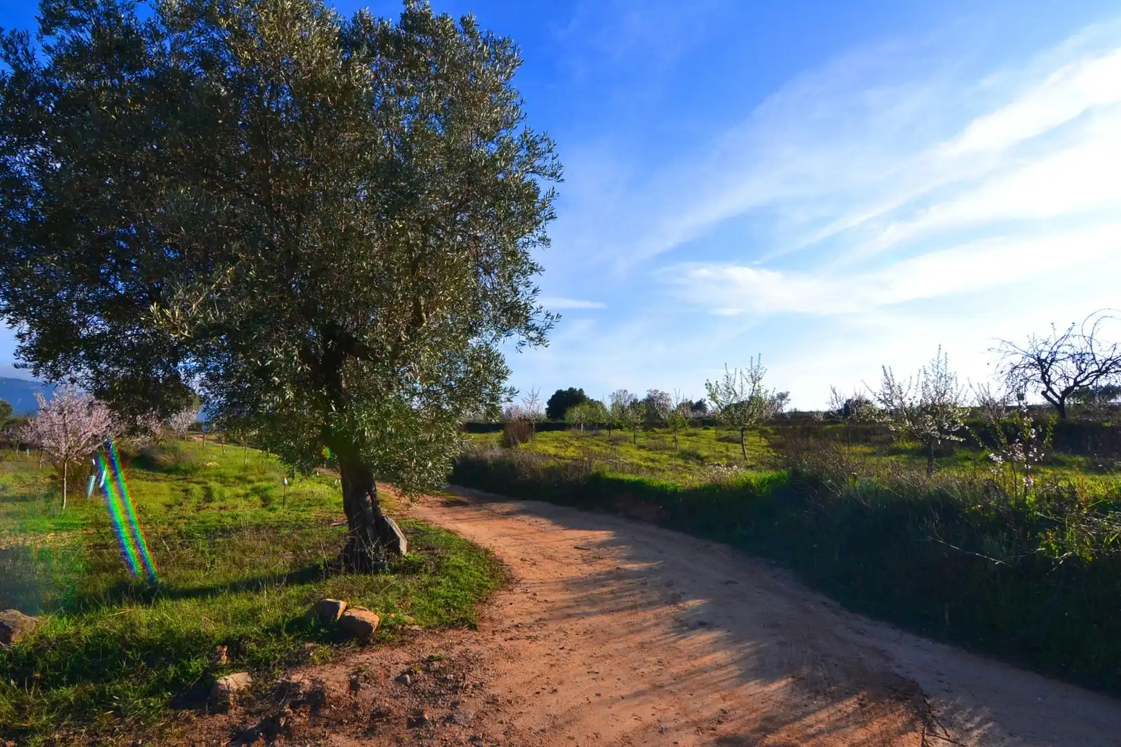 Rural land for sale in Gandesa, imagen 26