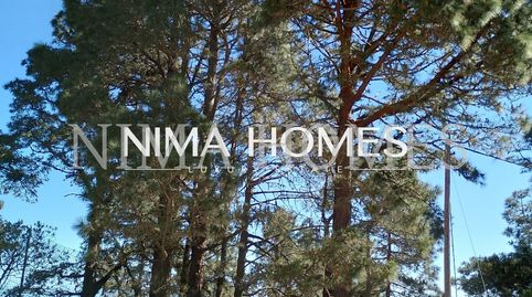 Foto 4 de Finca rústica en venda a Montaña - Zamora, Los Realejos