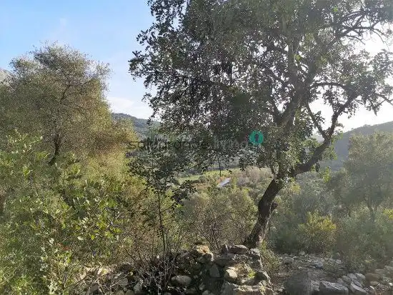 Casa rústica en venda a Gaucín, imagen 4