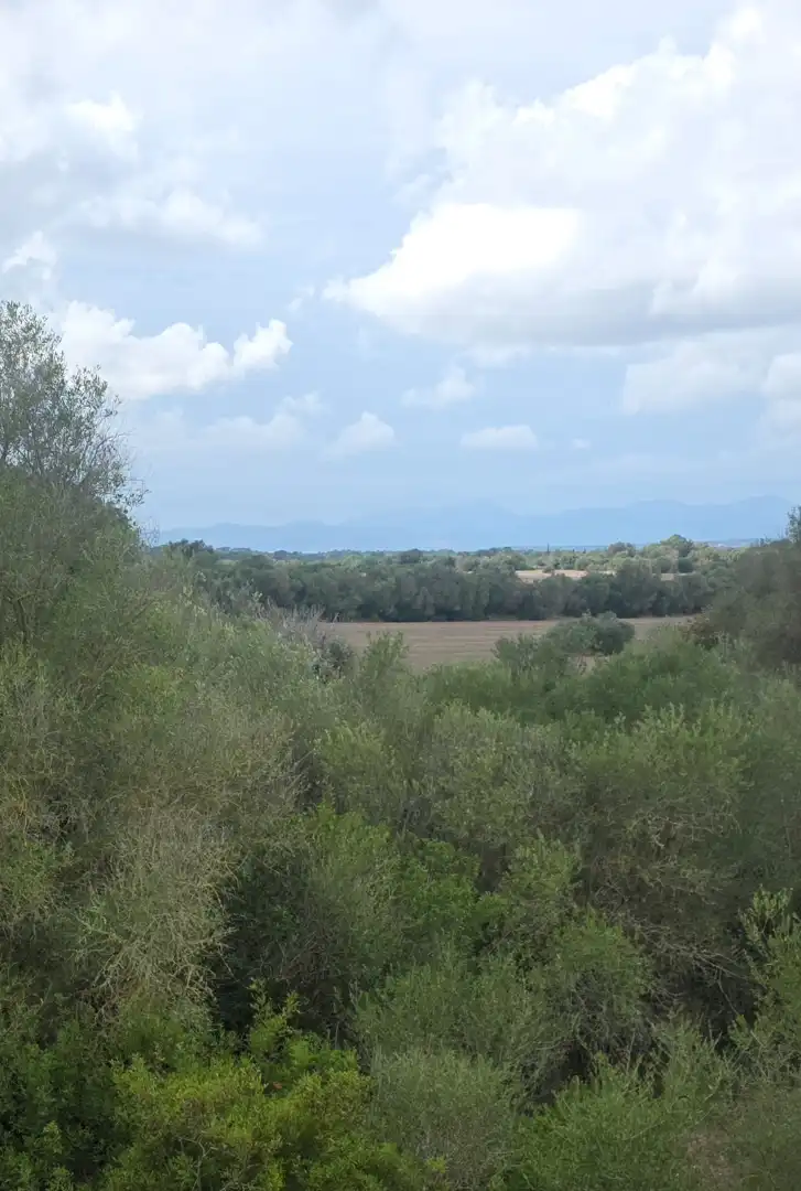 Villa mit Terrasse zum Verkauf in Algaida, imagen 40