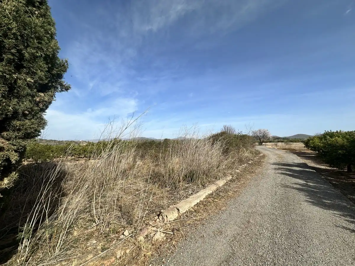 Terreno residencial en venta en Algímia de Alfara, imagen 7