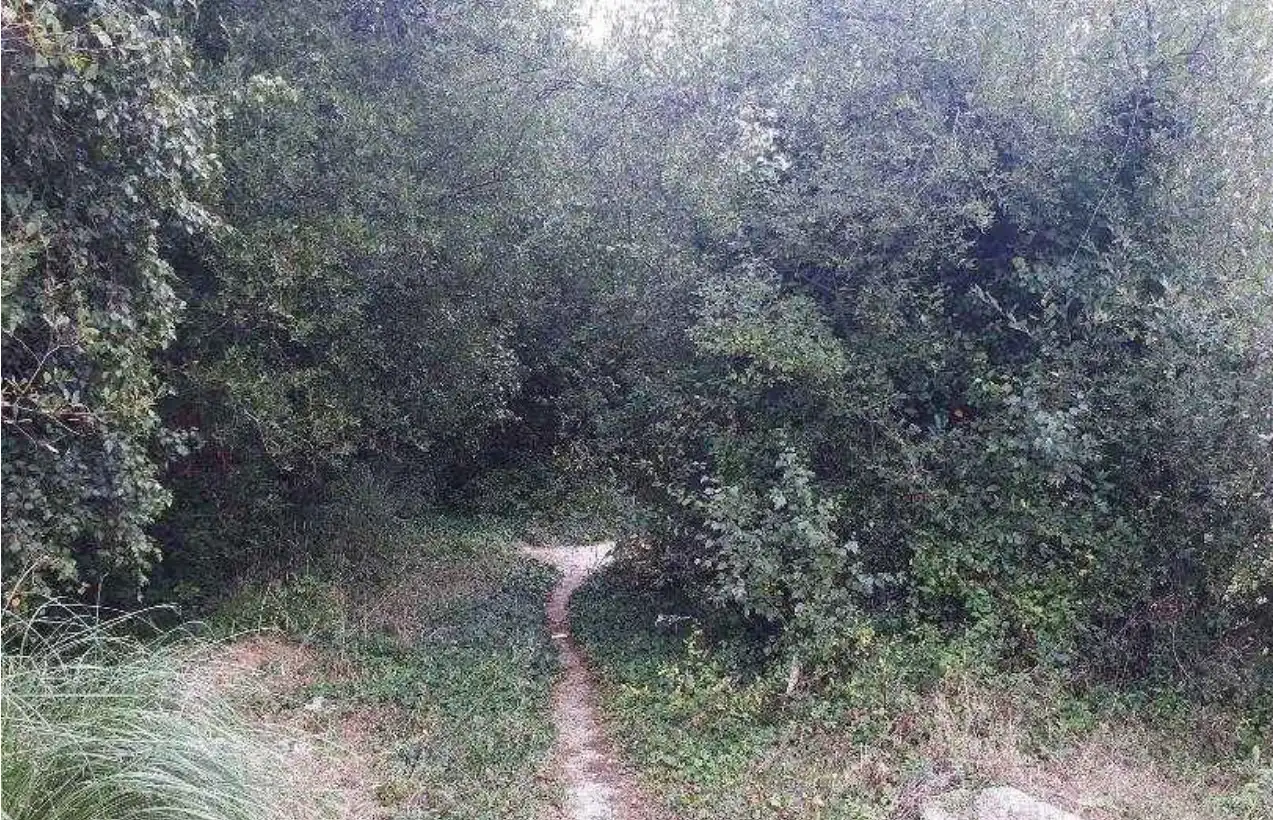 Residential for sale in VILABOA, Vilaboa Sur