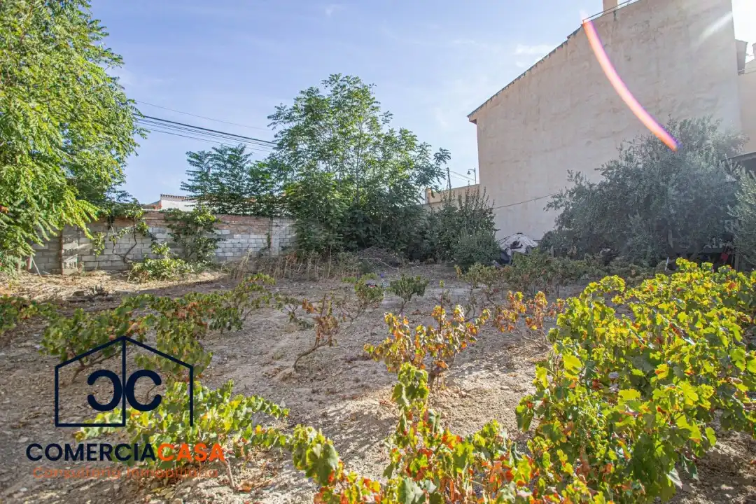 Terrenos y solares en venta en Aljomahima - Ermita, imagen 2