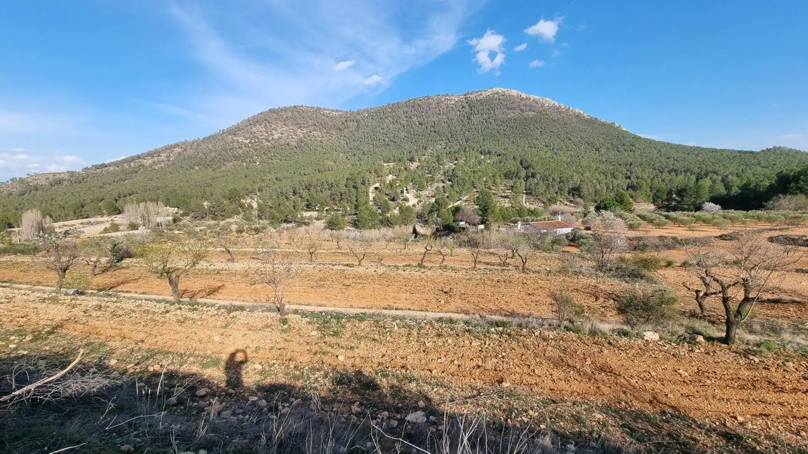 Terrenys i solars en venda a Bullas, imagen 9