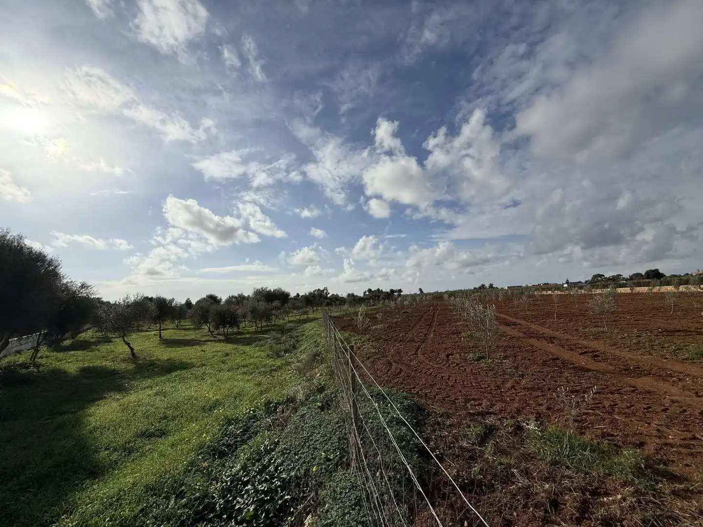 Terreno rustico in vendita a Ronda de Migjorn 64, imagen 9