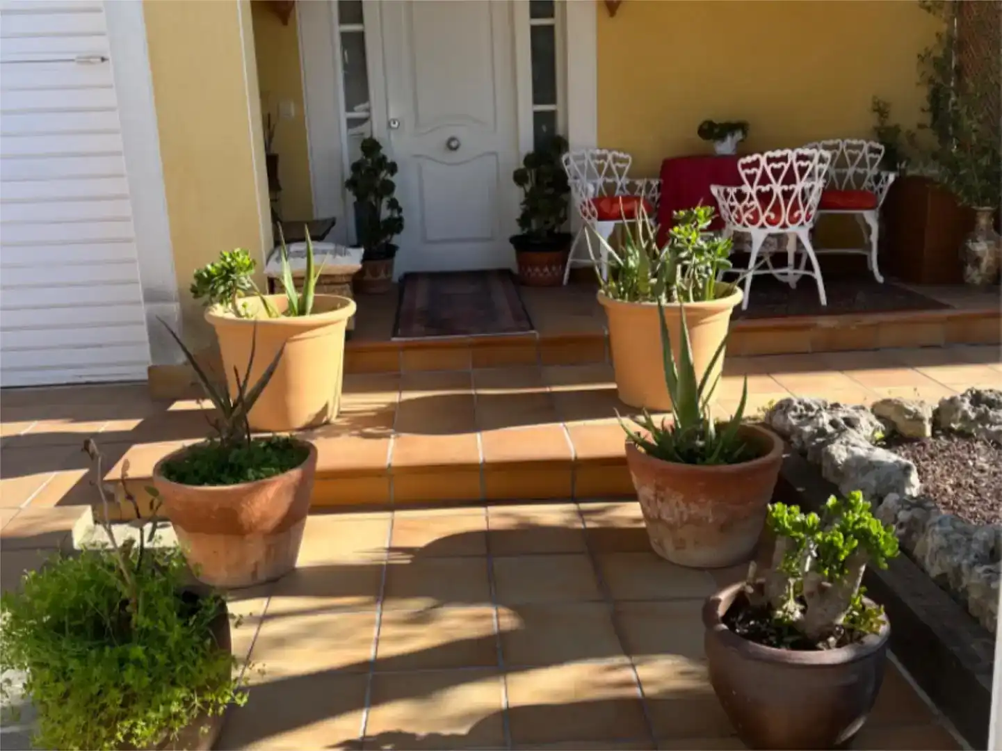 Terrace of Houses for share in La Franquesa - Oasis Park