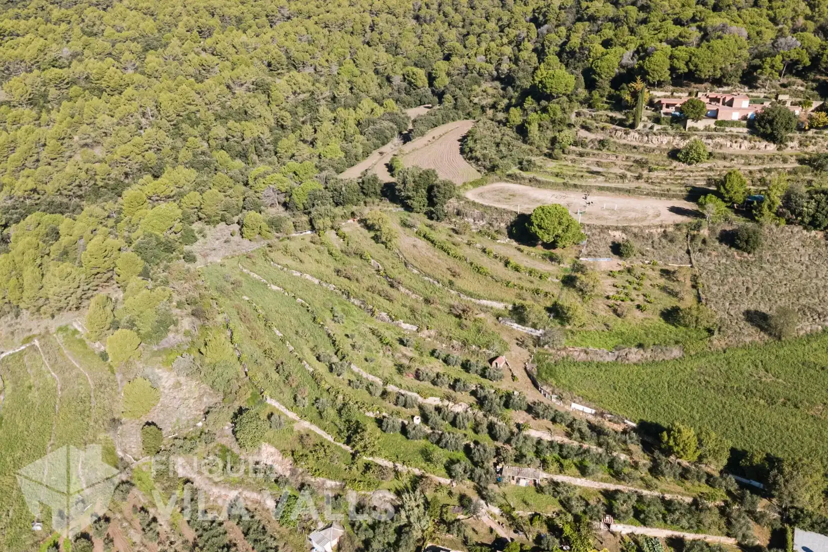 Chalet con jardín en venta en Sant Feliu de Codines, imagen 6