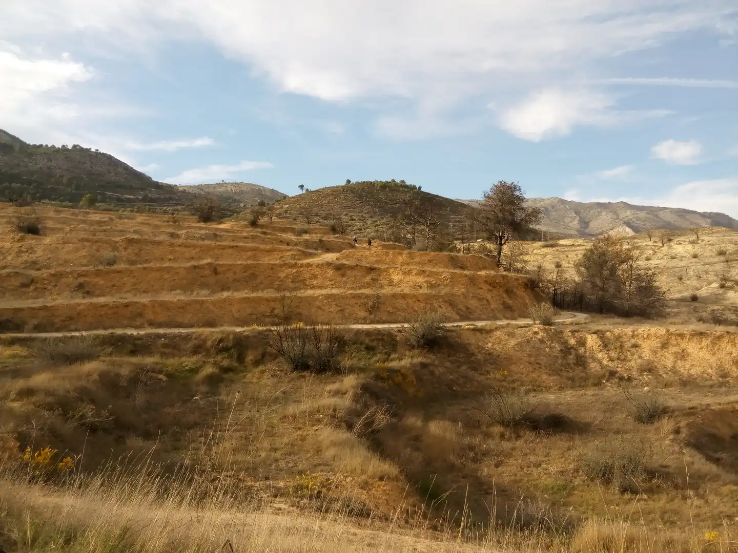 Grundstücke zum Verkauf in Alcoy / Alcoi