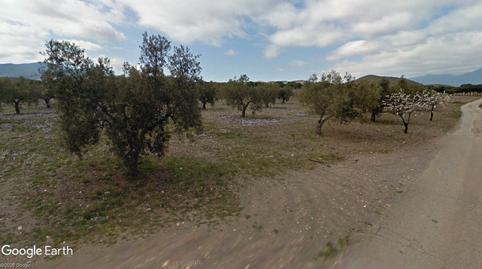 Photo 4 of Land for sale in Alboloduy, Almería