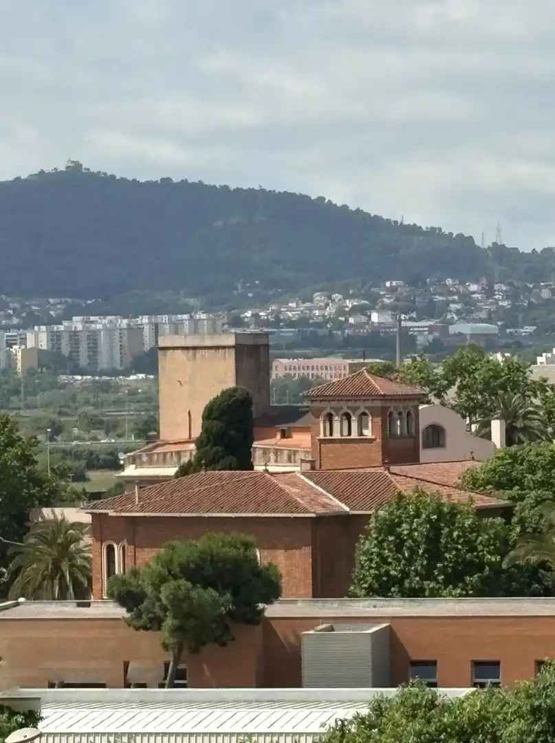 Wohnung mit Terrasse zum Verkauf in Joana Raspall, imagen 21