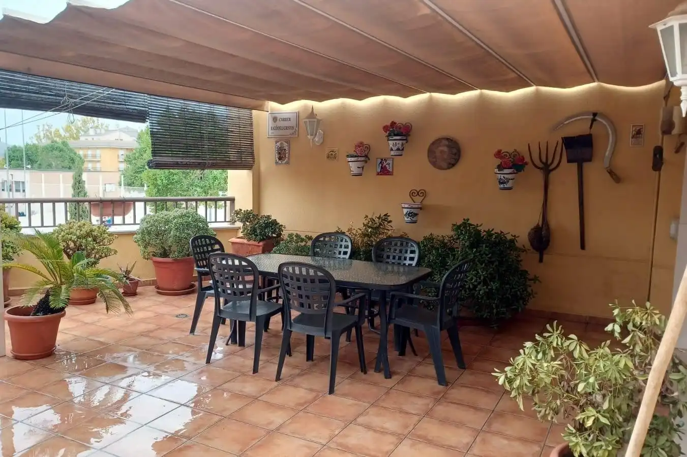 Houses for rent in Petrer