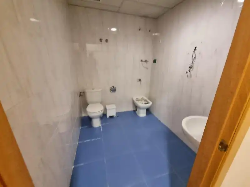 Nau industrial en venda a Zona Sur - Av. de España - San Miguel, imagen 26