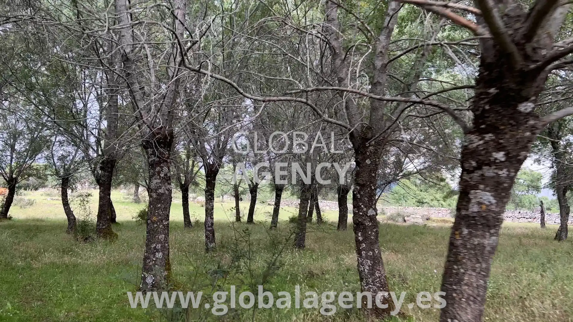 Rural land for sale in Soto del Real, imagen 19