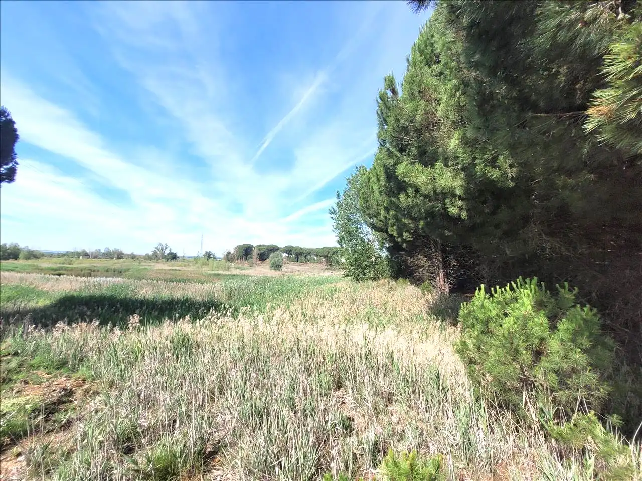 Residencial en venta en 1 Parcela , Coreses