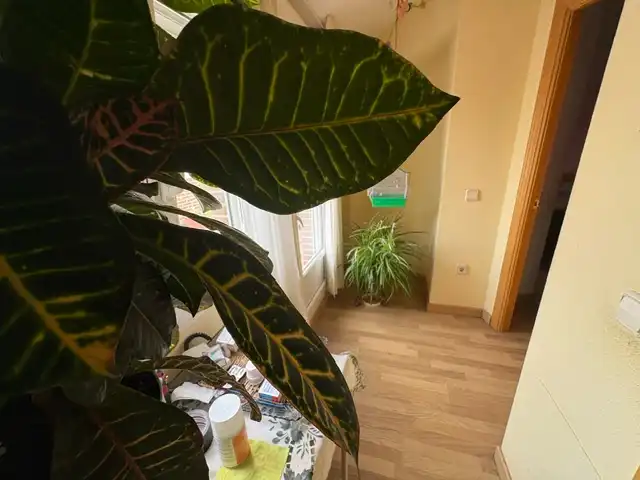 Ático en venta en Guadalajara con Calefacción, Parquet y Terraza