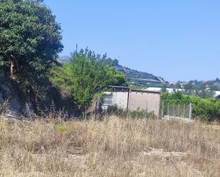 Land for sale in Alfauir