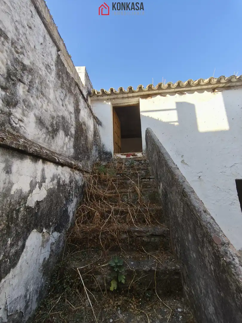 House for sale in Bornos, imagen 26